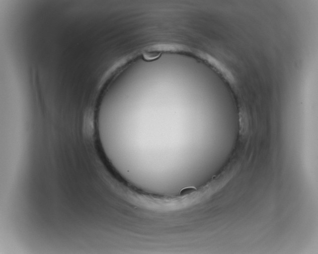 X0000113280015200909281001