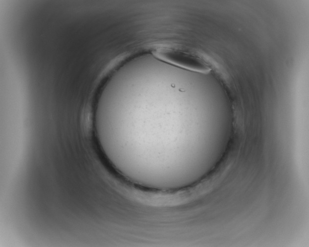 X0000113280016200909281001