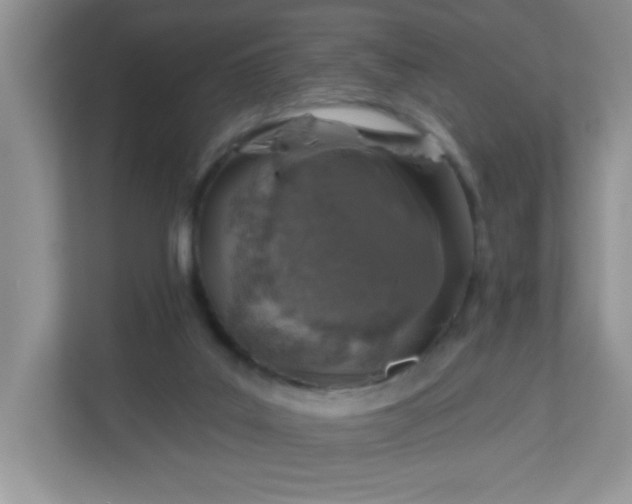 X0000113280019200909281001