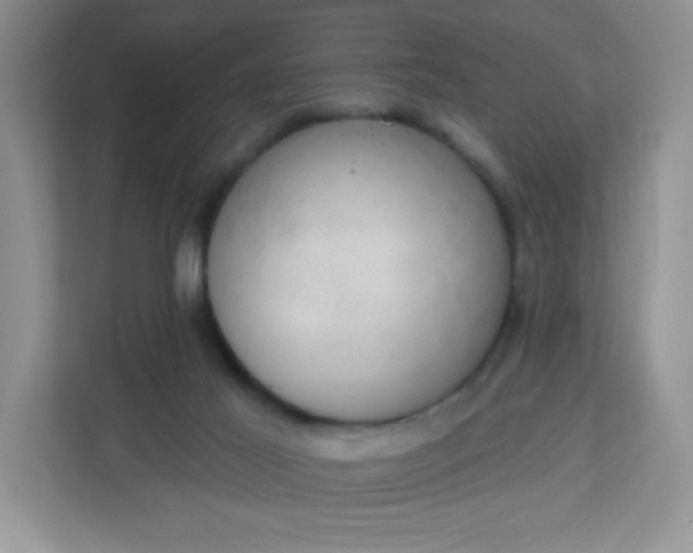 X0000113280021200909281001