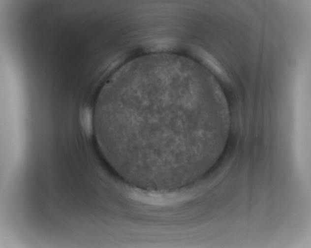 X0000113280022200909281001