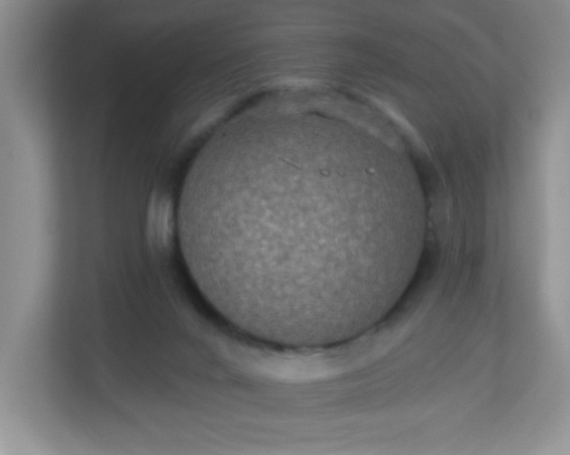 X0000113280024200909281001