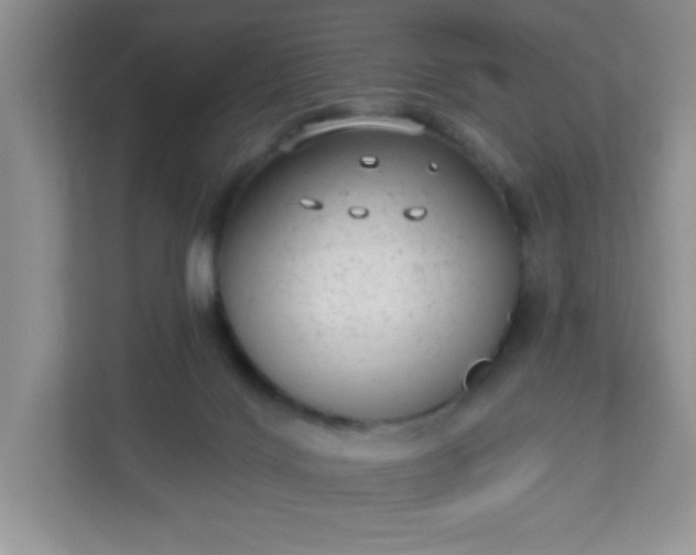 X0000113280028200909281001