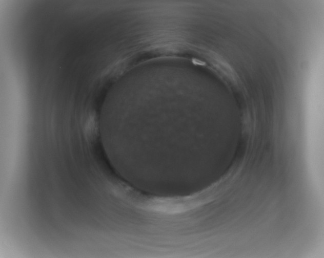 X0000113280029200909281001