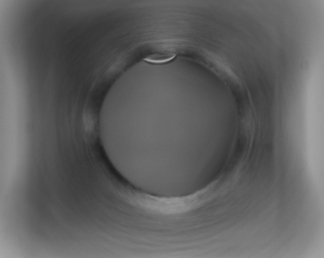 X0000113280031200909281001