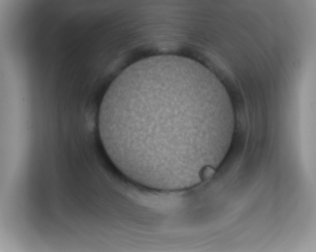 X0000113280032200909281001