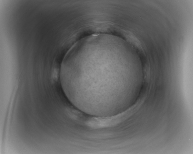 X0000113280033200909281001