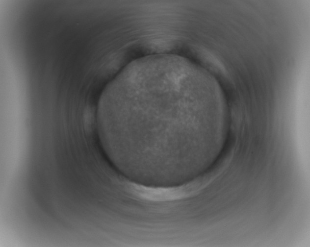 X0000113280034200909281001