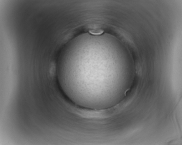 X0000113280036200909281001