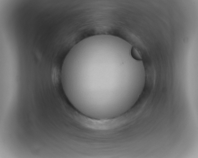 X0000113280038200909281001