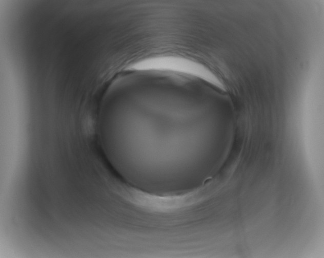 X0000113280039200909281001