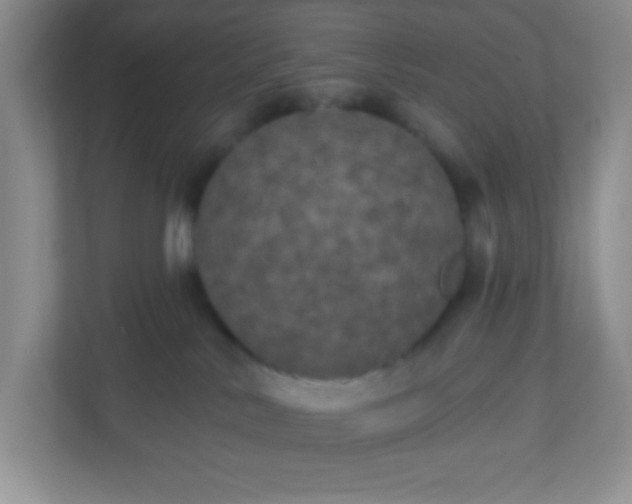 X0000113280042200909281000