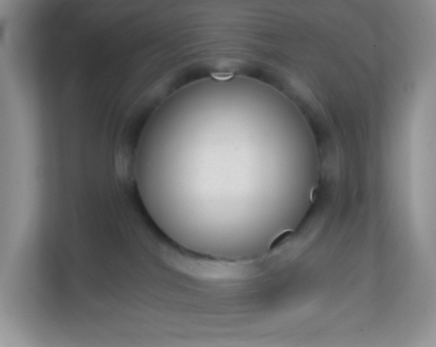 X0000113280044200909281000