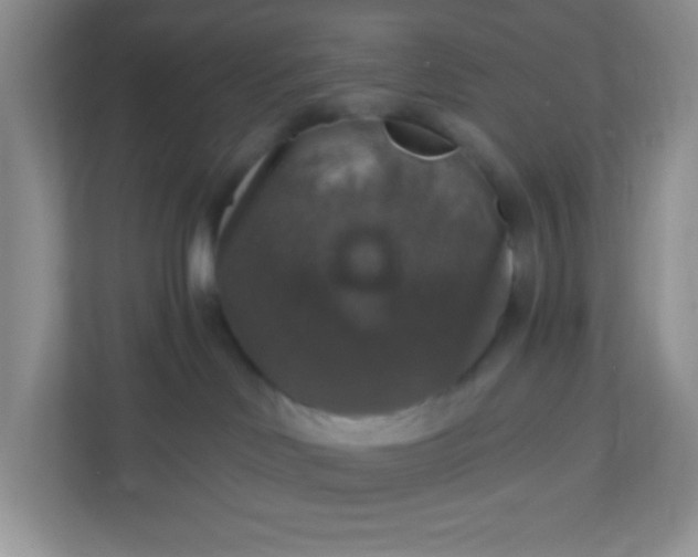 X0000113280046200909281000