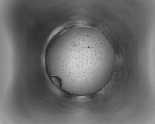 X0000113280054200909281000