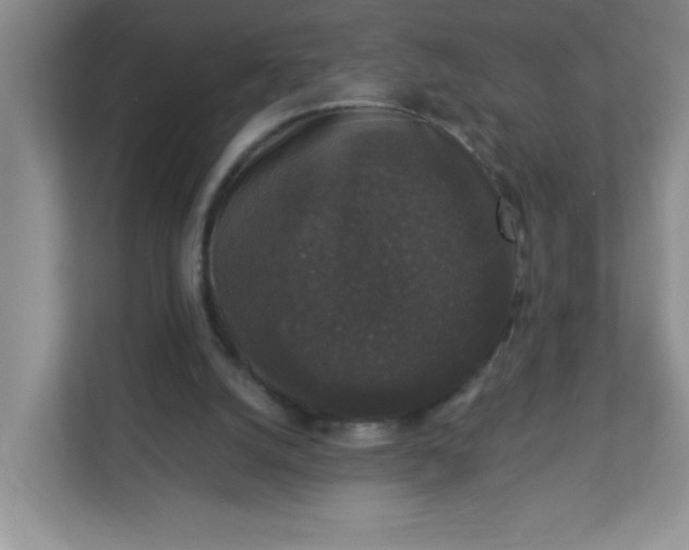 X0000113280056200909281000