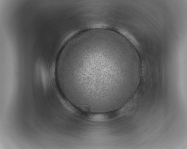 X0000113280058200909281000