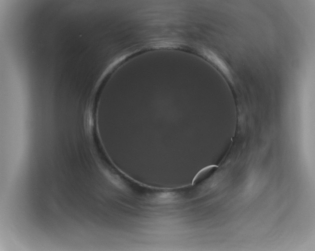 X0000113280059200909281000