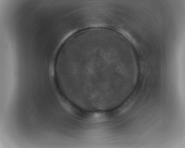 X0000113280060200909281000