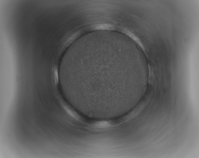 X0000113280061200909281000