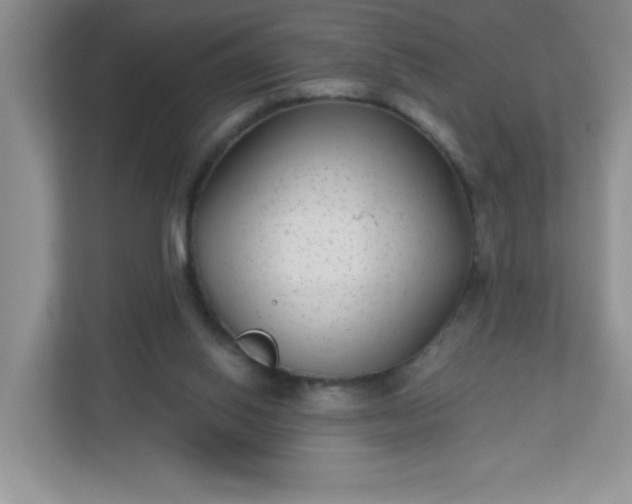 X0000113280062200909281000