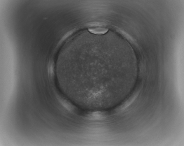 X0000113280064200909281000