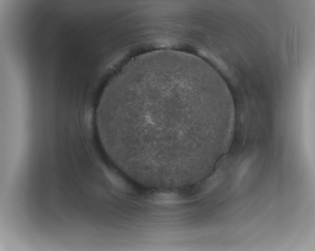 X0000113280066200909281000