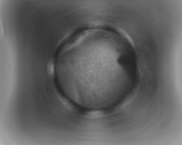 X0000113280067200909281000