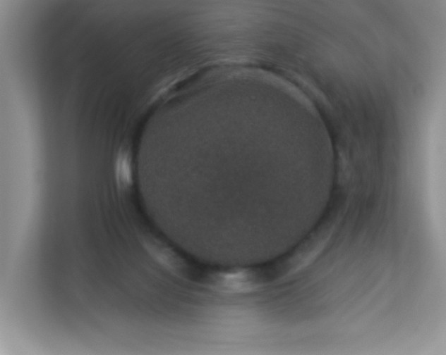 X0000113280068200909281000