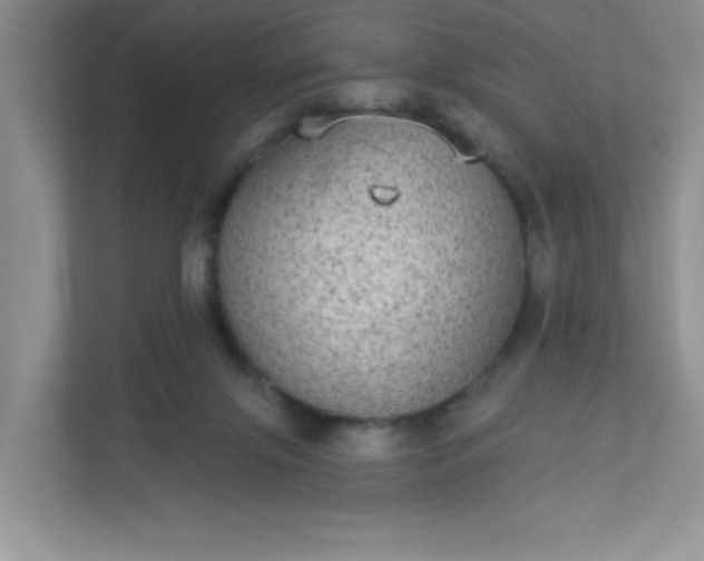 X0000113280071200909281000