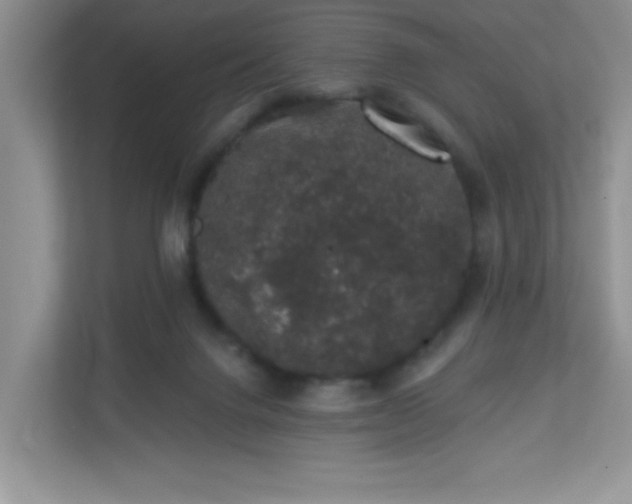 X0000113280072200909281000