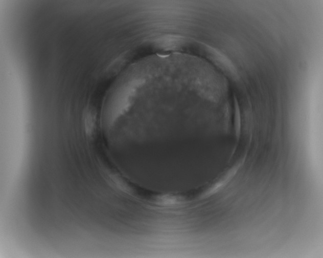 X0000113280073200909281000