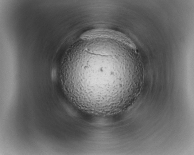 X0000113280074200909281000