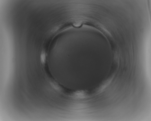 X0000113280076200909281000