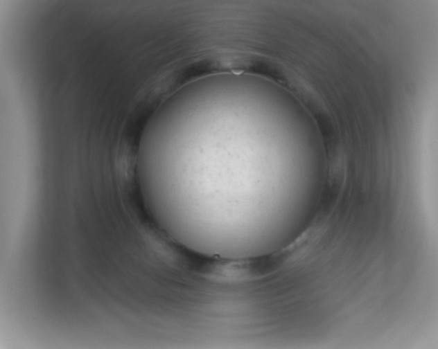 X0000113280078200909281000