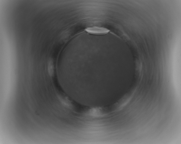 X0000113280080200909281000