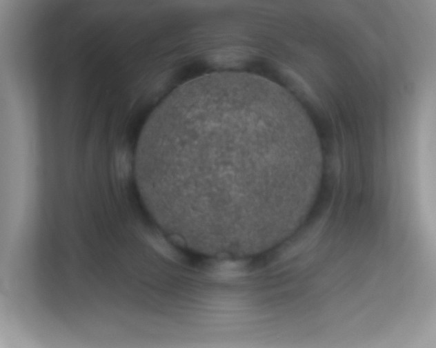 X0000113280081200909281000