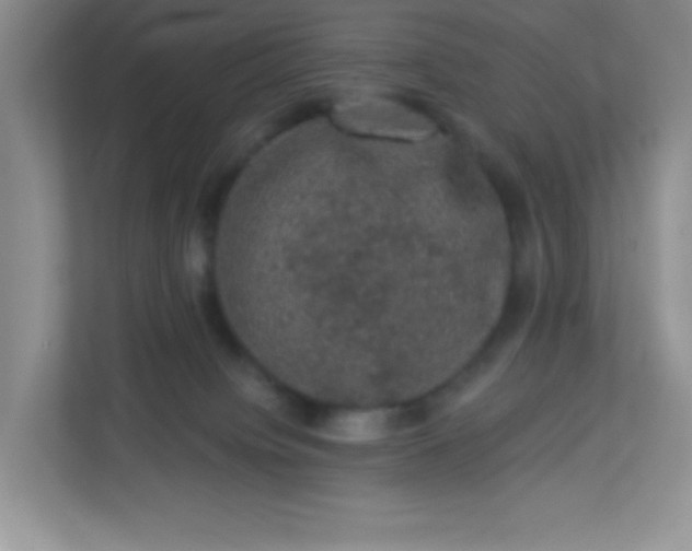 X0000113280084200909281000