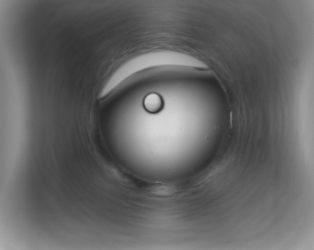 X0000113280088200909281000