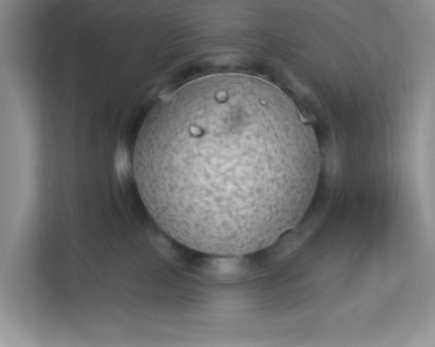 X0000113280089200909281000