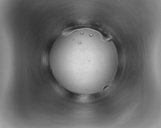 X0000113280090200909281000