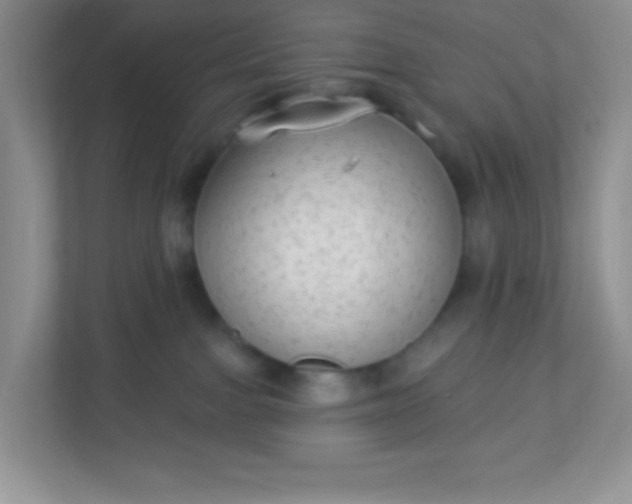 X0000113280091200909281000