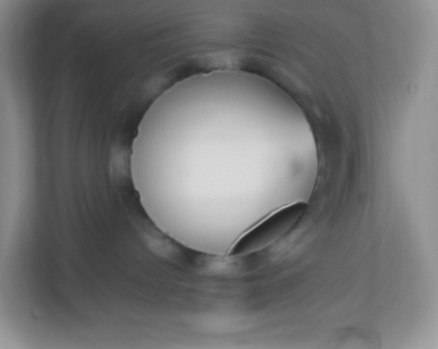 X0000113280096200909281000