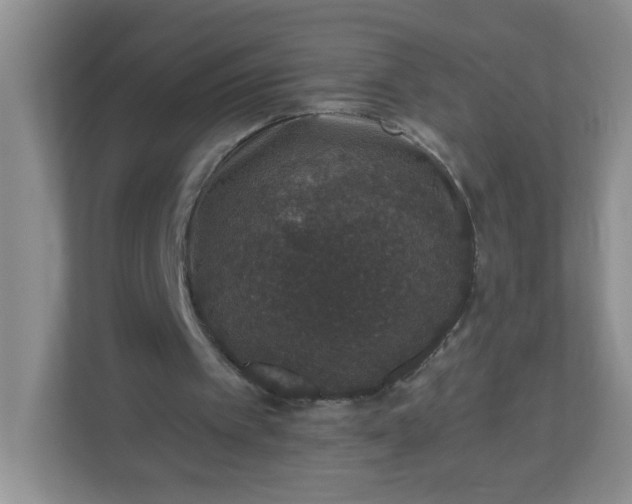 X0000113280097200909281000