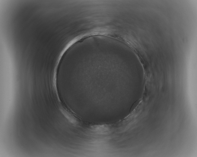 X0000113280100200909281000