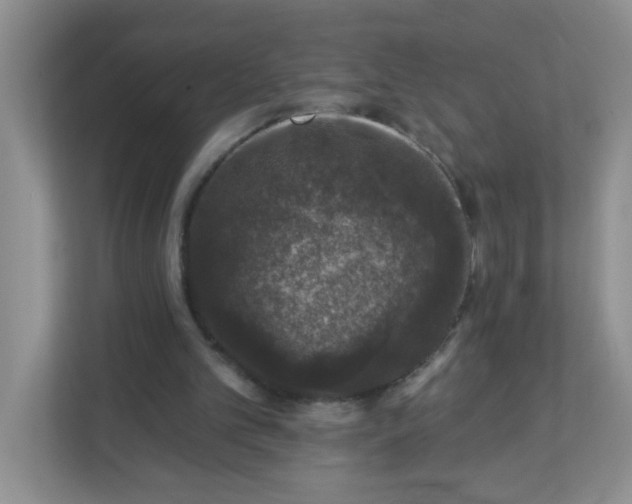 X0000113280101200909281000