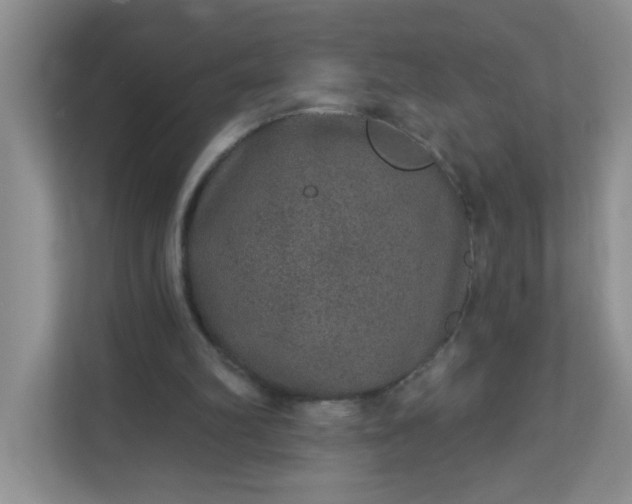 X0000113280102200909281000