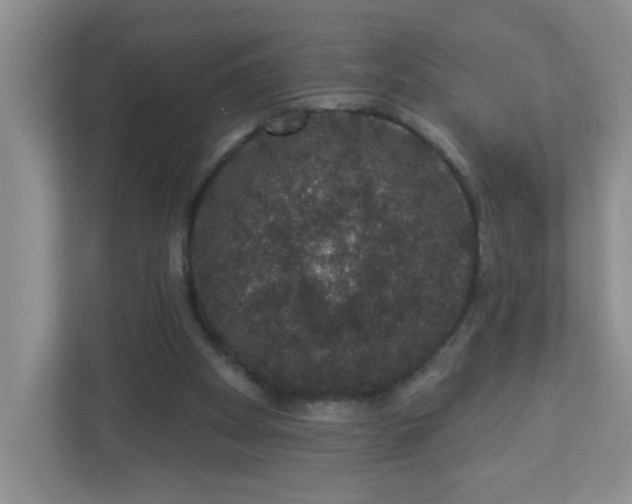 X0000113280105200909281000