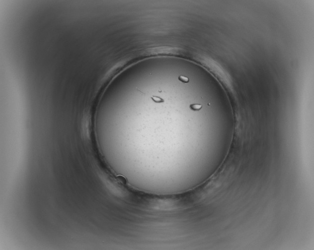 X0000113280107200909281000