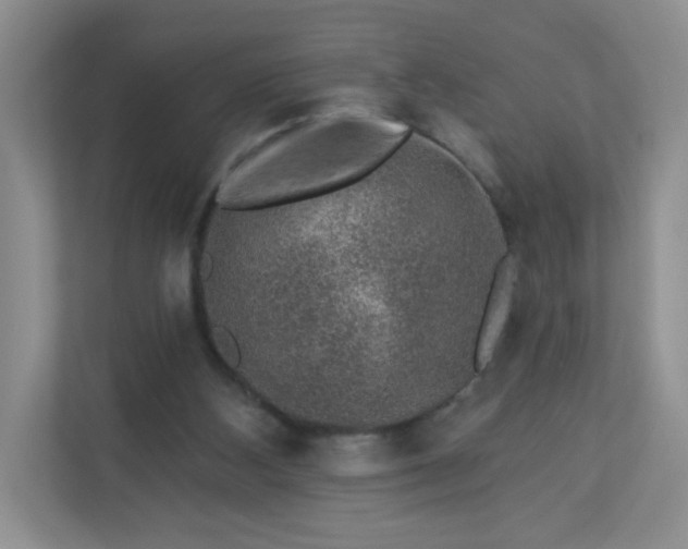 X0000113280108200909281000